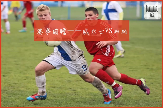赛事前瞻——威尔士VS加纳