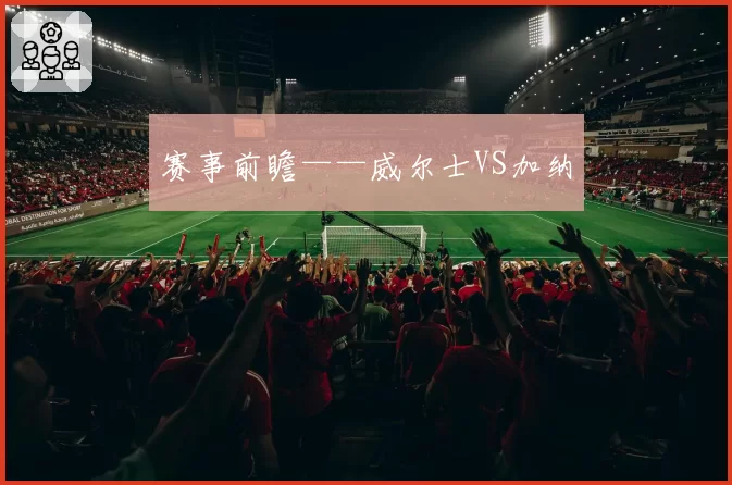 赛事前瞻——威尔士VS加纳